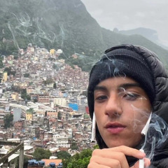 o abelha da picada