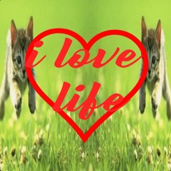 oxidwaste x wyajake - život 😇