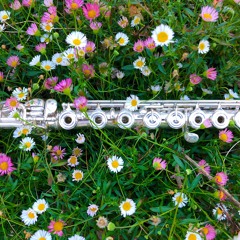 Beginner Flute Diary - 6 Months
