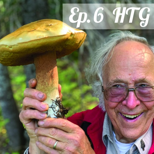 Ep #6 Mushroom Hunting with Dr. Michael Beug