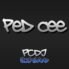 PedCee & OwenMurray - Wild Stylez 19'