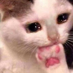 Pierce The Veil: Kiss Me Now (Slowed)
