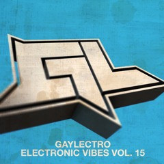 GAYLECTRO - ELECTRONIC VIBES VOL. 15