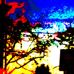 not even the trees remembered