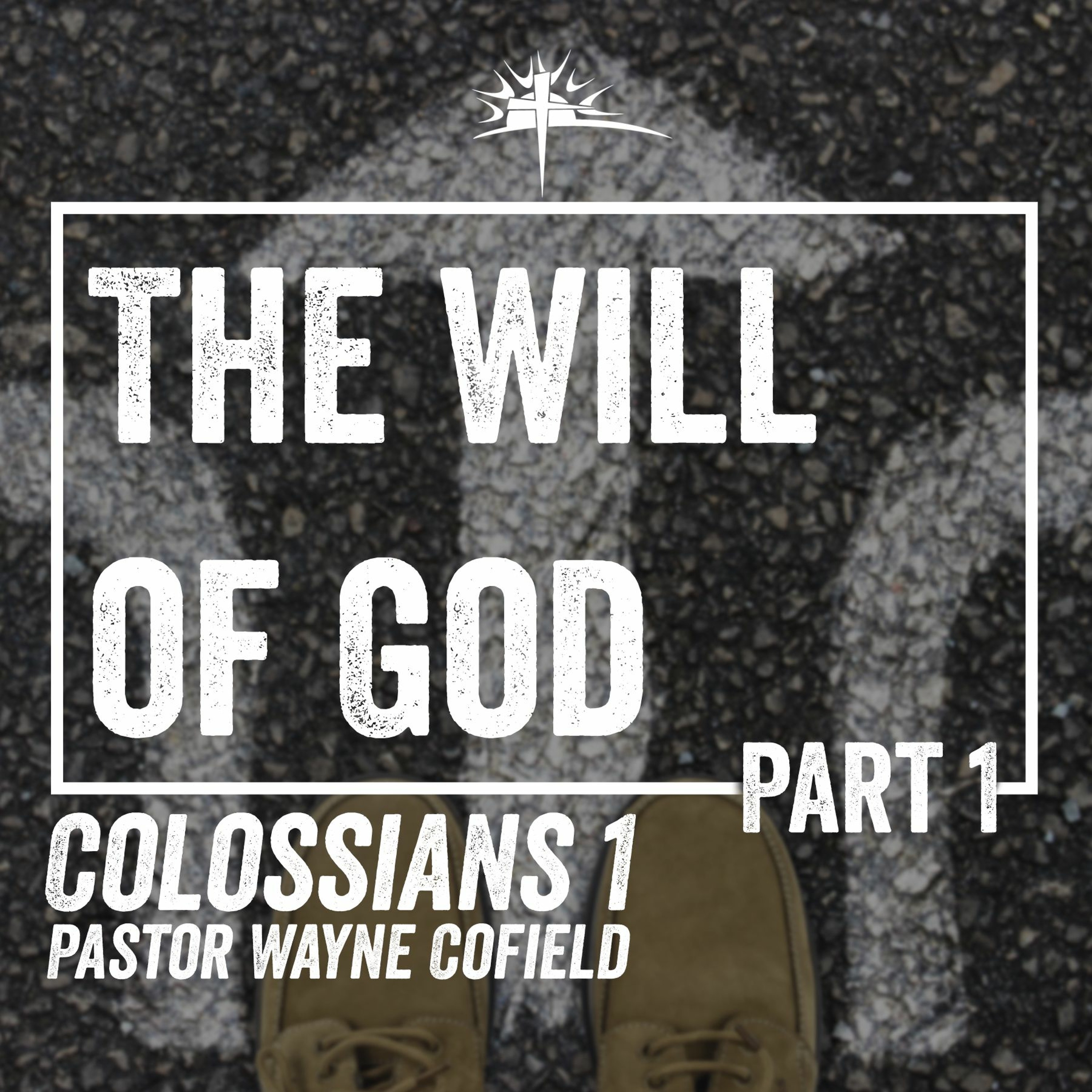 Sunday, January 24th - 6pm episode artwork
