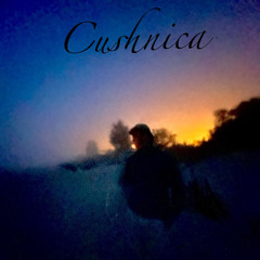 tropiciel i historia pingusonaxd feat (wwa pchelka & entliczek paliczek)