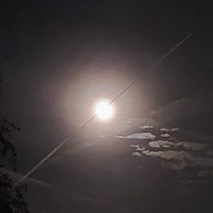 bells and jingle.wav