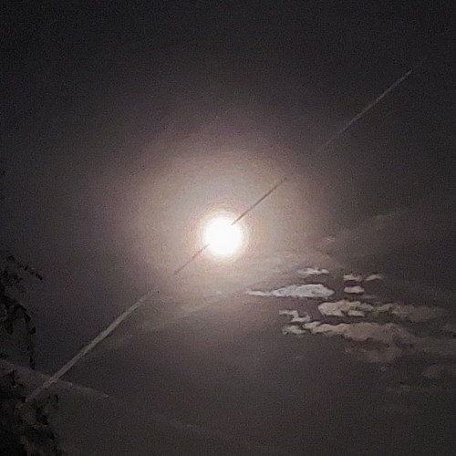 bells and jingle.wav