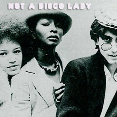 D.D. Sound  - She's Not A Disco Lady (Chimpanzee interpretation)