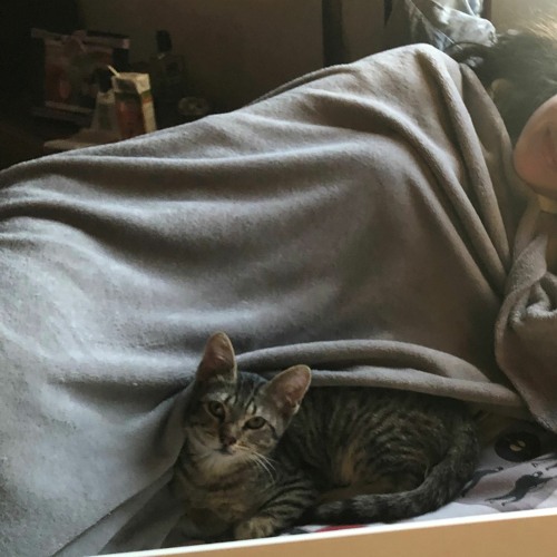 i'll move out and move on (acey)