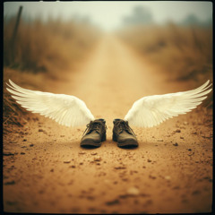 old shoes (Allison Indigo)