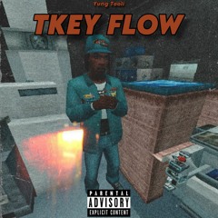 tkey flow [p. Ochoo]