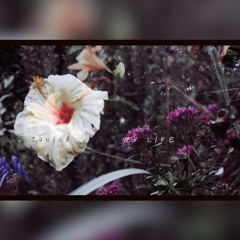 Tonina - New Life (video in description)