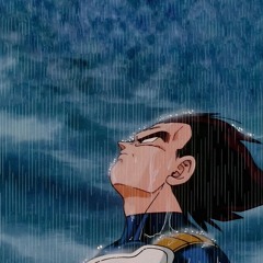 Vegeta speech X Look