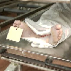 MORGUE(DXE){HOODWINK}[H8]