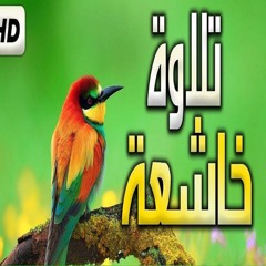 تلاوة هادئة تريح الاعصاب من سورة الصافات 💚 للقارئ سعيد القاضي HD