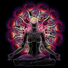 Night Time PsyTrance