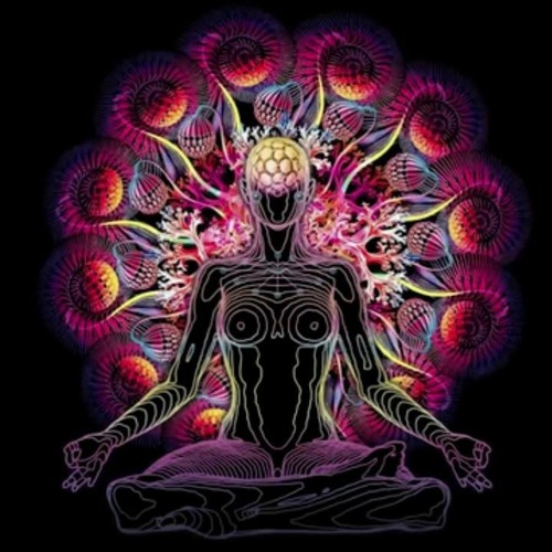 Night Time PsyTrance