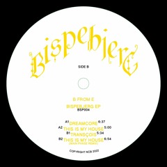 B FROM E - BISPEBJERG EP - BSP004 (Preview)