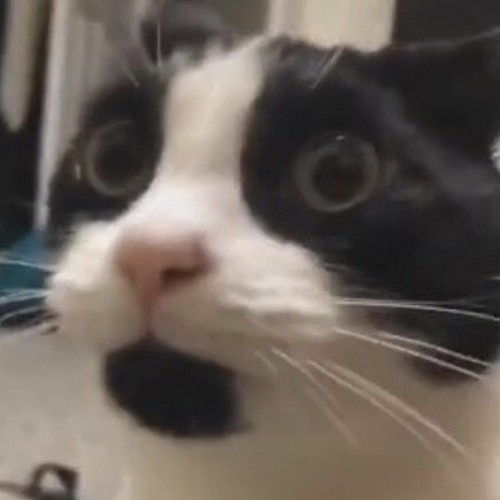 Stream DJ WATERMELON DEREFEST EPIC MIX BUT ON ALT ACC LETS GOOO by User