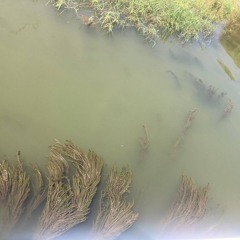 Superhuman Love Boat Hot Tub Time Machine #7 - Sean Bond - Infinite Love Expanding Definitions