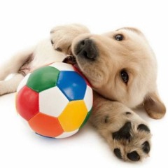 REVØLUTION // longer mix