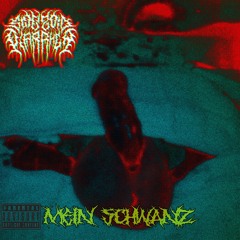 Mein Schwanz (Feat. Mr. Anwalt, Audio Agony) [VIP Version]