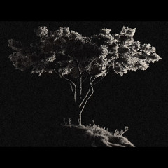 The Sign - Anyma & Camelphat (Beatz Rmx) [FREE DOWNLOAD]