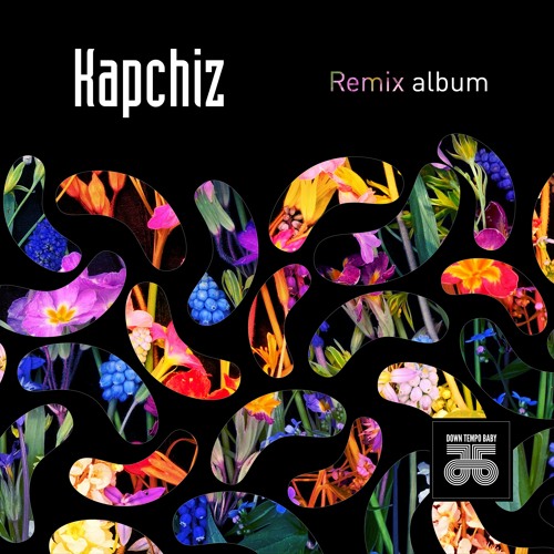 Kapchiz Feat. Sputnik Lab - Catron Puppits (Compas Polysorb Remix)