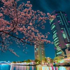 Hit Me With Your Sakura (Hit Me With Your Car Remix)
