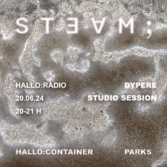 Steam 11 - Dypere Studio Session 20/06/24