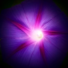 (06) Purple Skies [Violet EP]