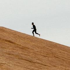 The Chase