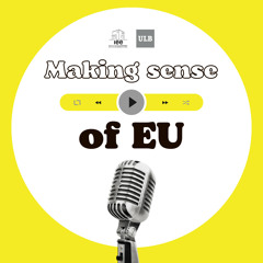 Making sense of the EU's external action in times of crises