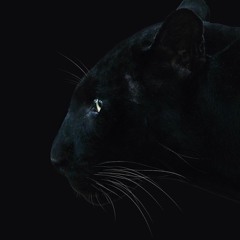 Predator - Hard Techno #1