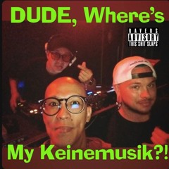 Dude, Where's My Keinemusik?!