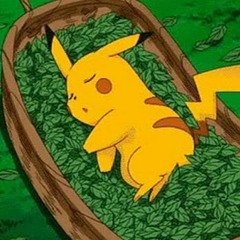 SLEEPY POKÉMON RADIO VOL. 1