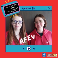 les structures 1 : AFEV Dunkerque