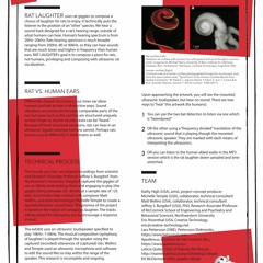 Rat Laughter Audio Downsampled