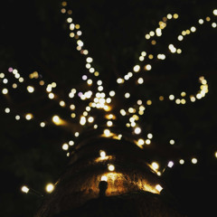 The Star Project