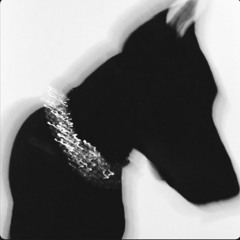 PRETTI.wav.m4a (prod Tenkgrey)