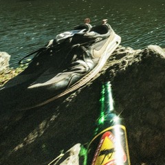 rivig picknick vid sjön.WAV