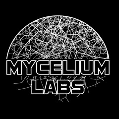 ⌜ Fête de la Musique - Mycélium Labs - Montpellier - 21/06/24 - Peaktime / Techno⌝