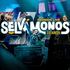 DJ Diego Alonso - SELVAMAMONOS 2024 (Show En Vivo)