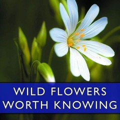 Download❤️Book⚡️ Wild Flowers Worth Knowing (Esprios Classics)