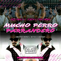 Aldo Ranks X Juseph & Curz Cafune - Mucho Perro Parrandero (Dani Perez Mashup) 118 bpm FILTRADA