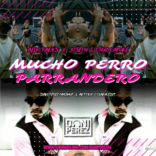 Aldo Ranks X Juseph & Curz Cafune - Mucho Perro Parrandero (Dani Perez Mashup) 118 bpm FILTRADA