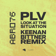 PREMIERE: PLV - Look At The Situation [ABR076]