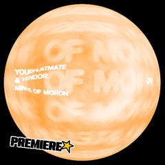 PREMIERE: yourFlatmate & Yendor - Dizzy Worm (Cybernet Remix) [Mines of Moron EP]