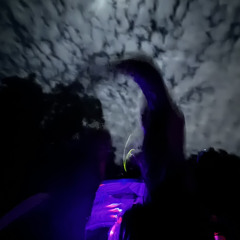 Paint The Wall